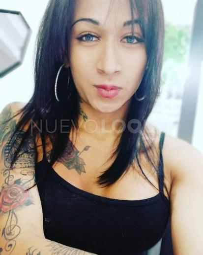 NuevoLoquo3