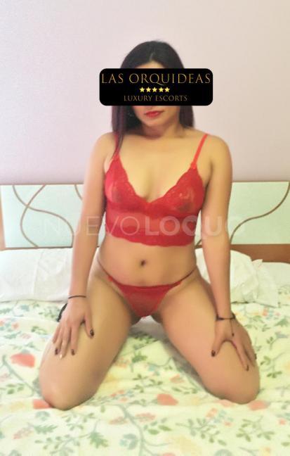 NuevoLoquo3