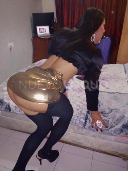NuevoLoquo5