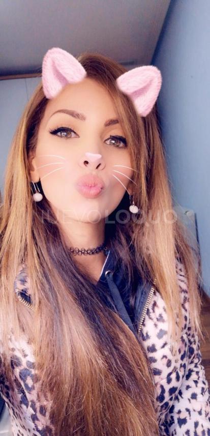 NuevoLoquo3
