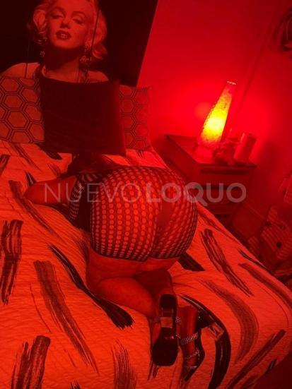 NuevoLoquo3