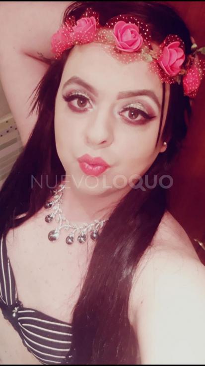 NuevoLoquo2