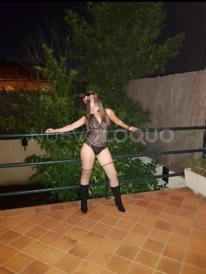 NuevoLoquo2