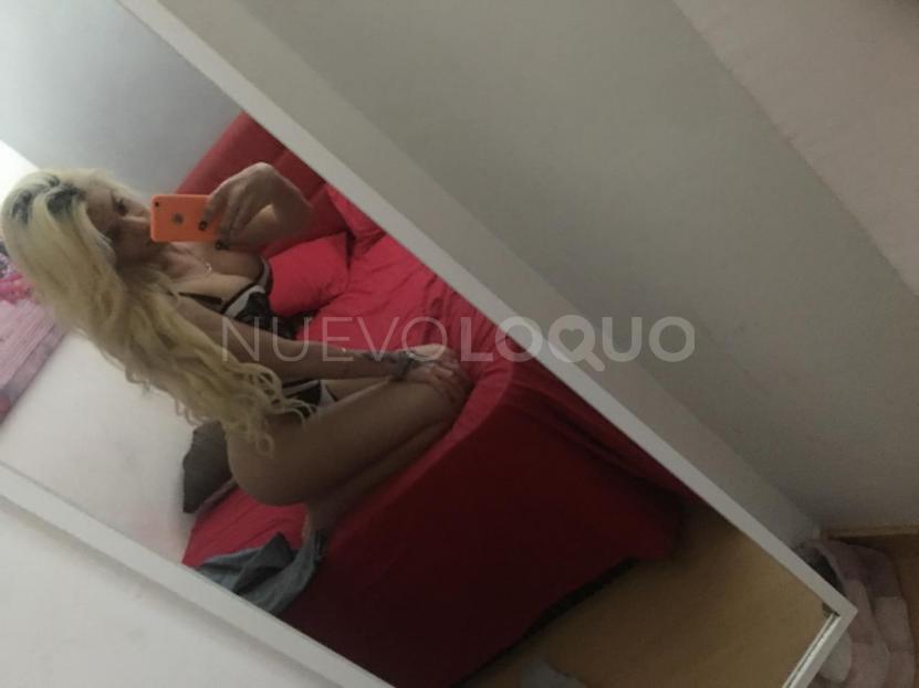 NuevoLoquo5