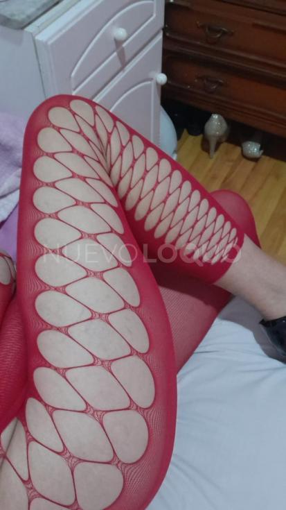contactos pasion