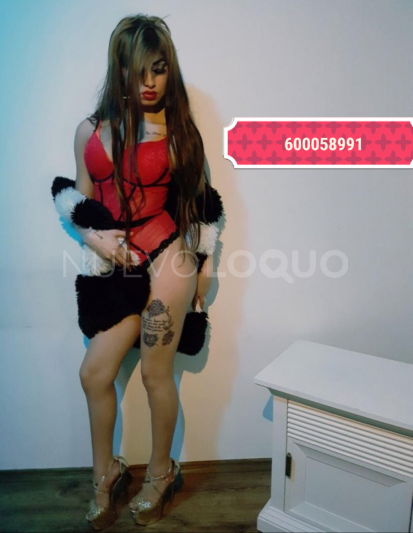 NuevoLoquo2