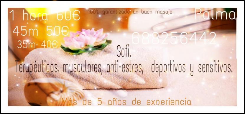 NuevoLoquo2