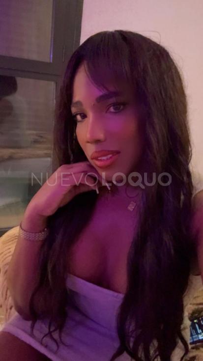 NuevoLoquo4