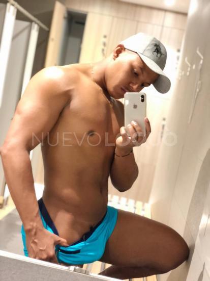 NuevoLoquo3