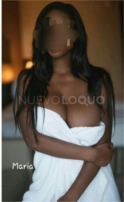 NuevoLoquo3