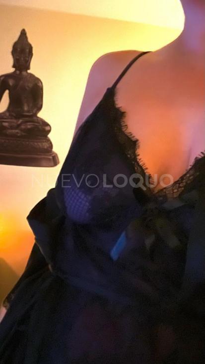 NuevoLoquo2