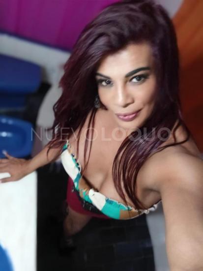 NuevoLoquo1