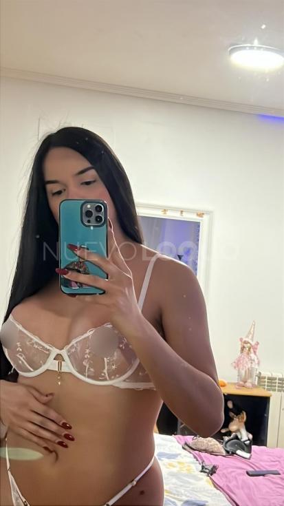 NuevoLoquo5