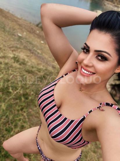 NuevoLoquo3