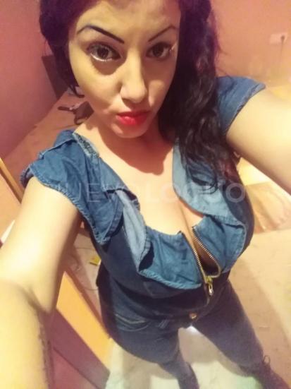 NuevoLoquo4