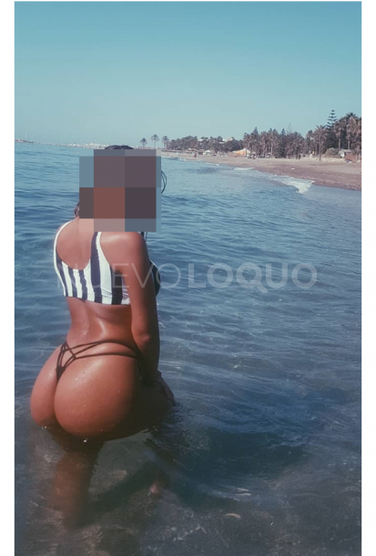NuevoLoquo3
