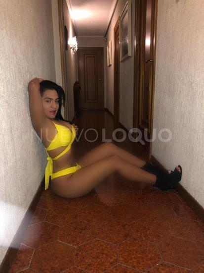 NuevoLoquo1