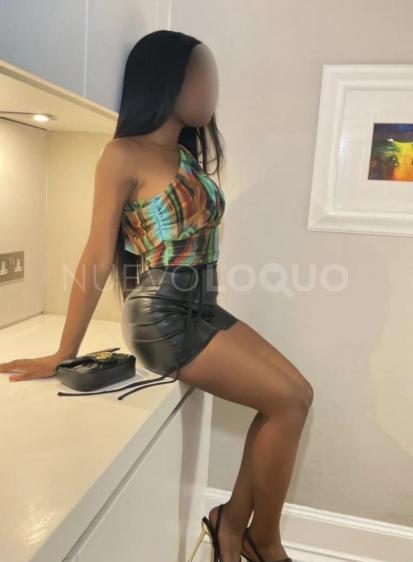 NuevoLoquo4