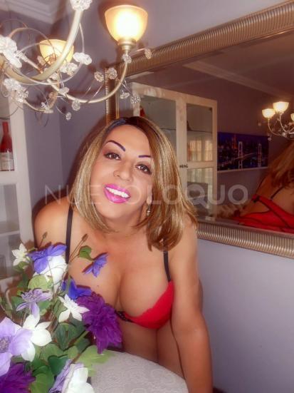 NuevoLoquo2