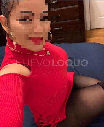 NuevoLoquo4