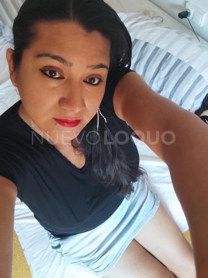 NuevoLoquo5