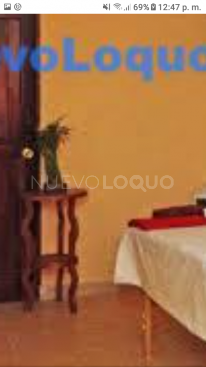 NuevoLoquo3