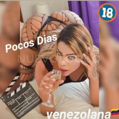 NuevoLoquo3