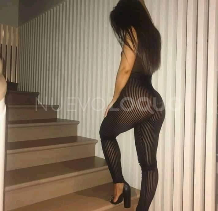 NuevoLoquo3