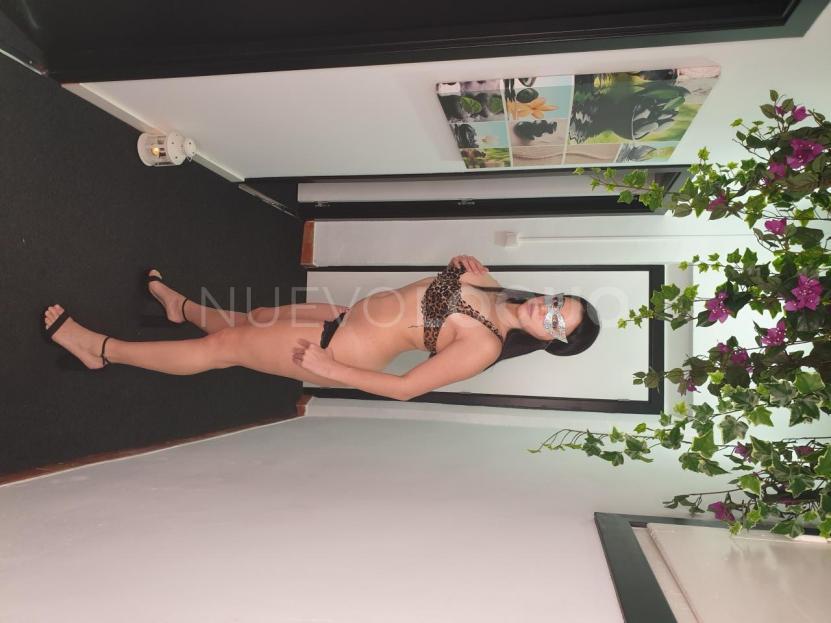 NuevoLoquo3
