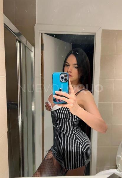 NuevoLoquo2