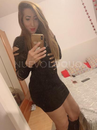 NuevoLoquo3