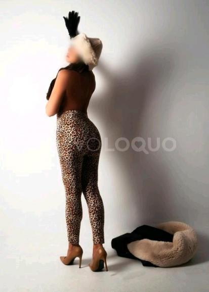 NuevoLoquo2