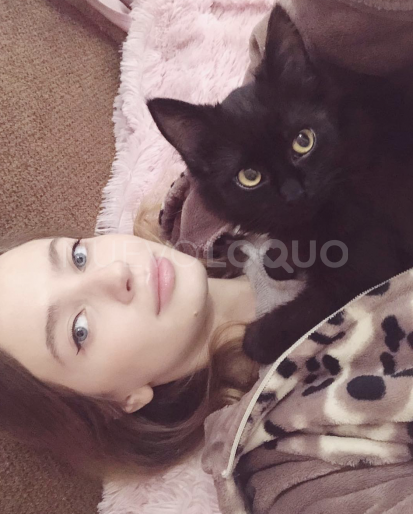 NuevoLoquo1