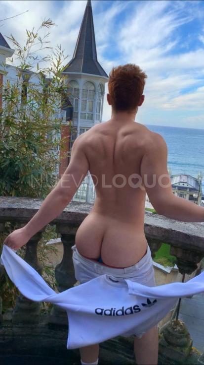 NuevoLoquo2