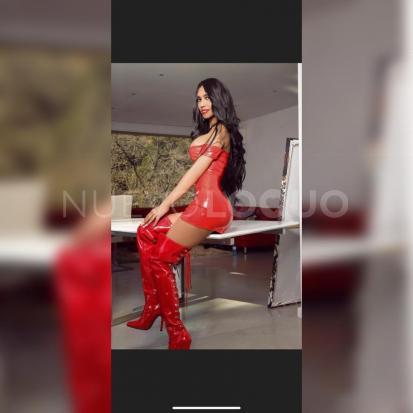 NuevoLoquo2