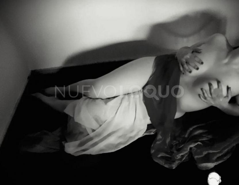 NuevoLoquo1