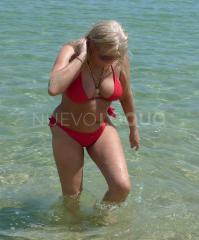 rosas  HR MADURA SIMPATICA CARIÑOSA    rosas