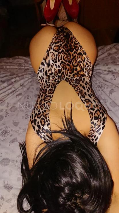 NuevoLoquo2