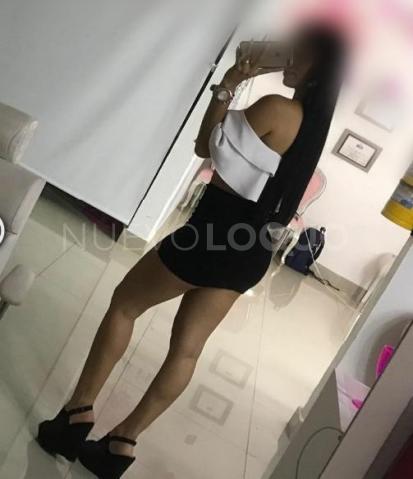 NuevoLoquo3