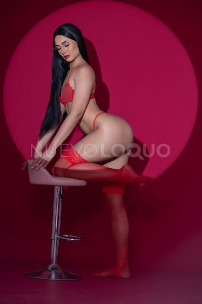 NuevoLoquo1