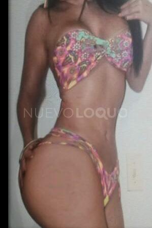 NuevoLoquo0