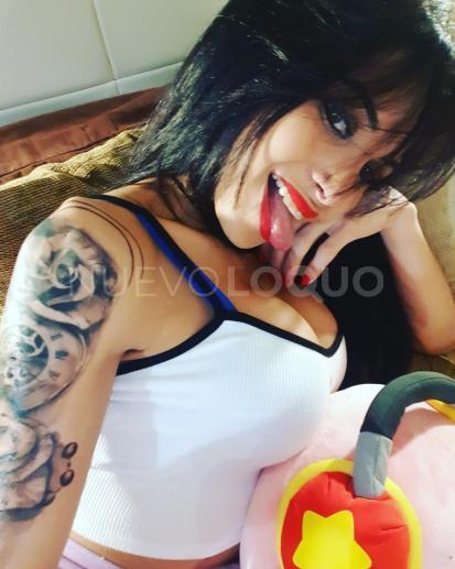 NuevoLoquo1