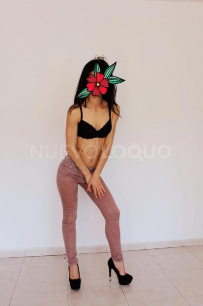 NuevoLoquo2