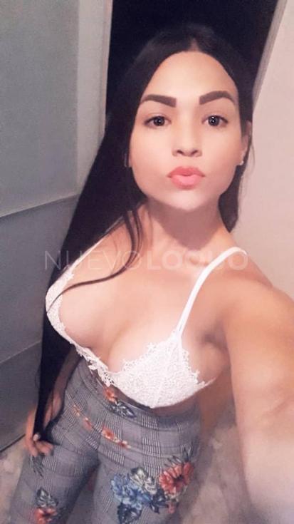 NuevoLoquo1