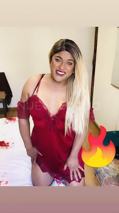 NuevoLoquo5