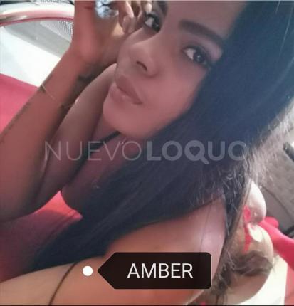 NuevoLoquo2