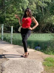 Trans experta em principiantes 
