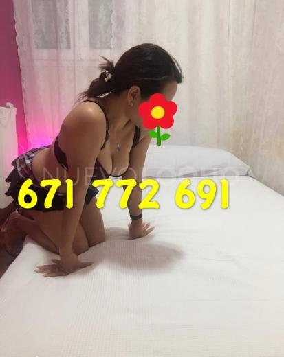 NuevoLoquo2