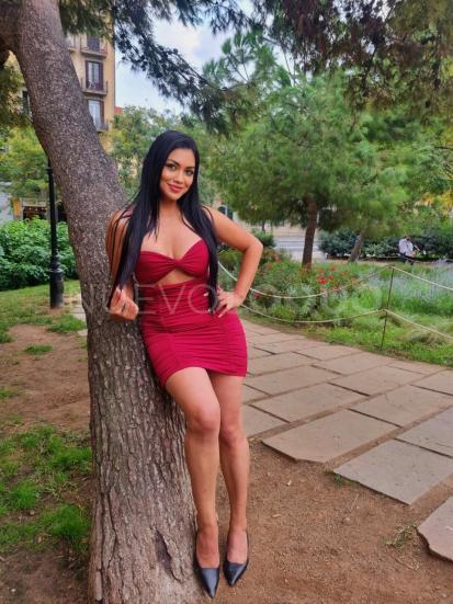 NuevoLoquo3