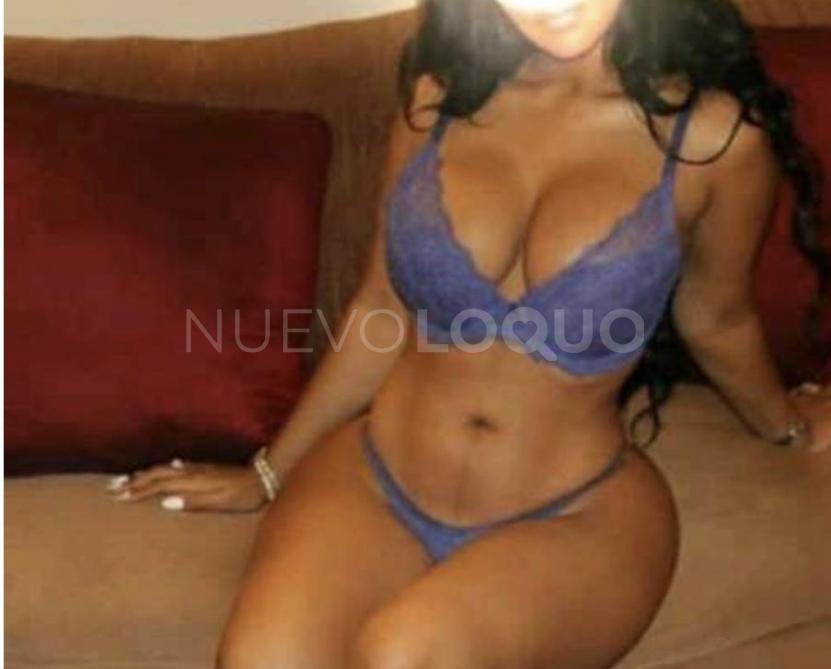NuevoLoquo2